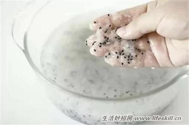 5種可愛的小盆栽 用吃剩下的種子種出來!再也不用買了~ 3 5種可愛的小盆栽 用吃剩下的種子種出來!再也不用買了~