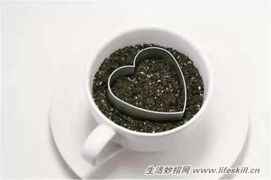 5種可愛的小盆栽 用吃剩下的種子種出來!再也不用買了~ 6 5種可愛的小盆栽 用吃剩下的種子種出來!再也不用買了~