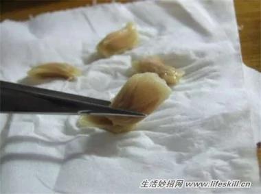 5種可愛的小盆栽 用吃剩下的種子種出來!再也不用買了~ 15 5種可愛的小盆栽 用吃剩下的種子種出來!再也不用買了~
