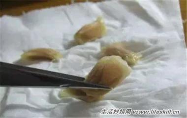 5種可愛的小盆栽 用吃剩下的種子種出來!再也不用買了~ 20 5種可愛的小盆栽 用吃剩下的種子種出來!再也不用買了~