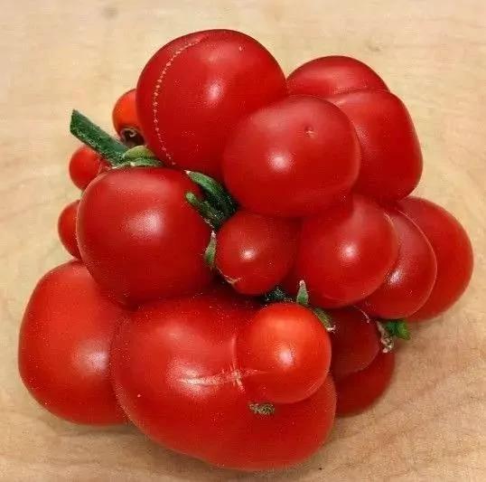 13個老菜農絕不外傳的買菜技巧 太厲害了！