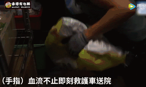 香港爆紅「最美搬運工」港版羅拉真身曝光！