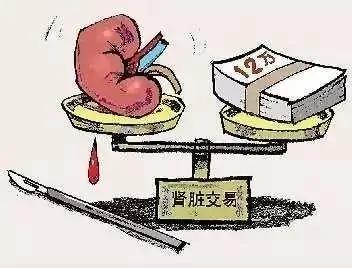 90後小伙為還高利貸4萬元賣腎 "中介人"賺40多萬 7 90後小伙為還高利貸4萬元賣腎 "中介人"賺40多萬