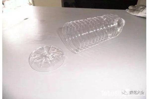 用完的塑料瓶別扔 這樣一改造 就是自動澆水神器