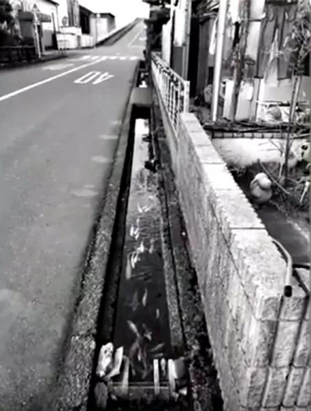 日本人精神：下水道孔象一幅幅畫般的美麗 暖心的鋁罐設計給盲人帶來方便