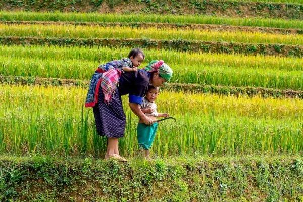 人一生用水是有定數的 浪費一粒米 減掉一份福