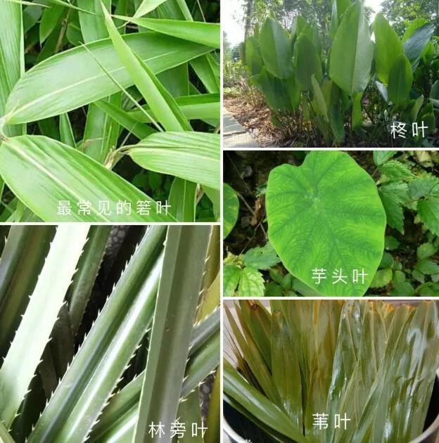 粽子的地圖炮 中國到底有多少種粽子呢？