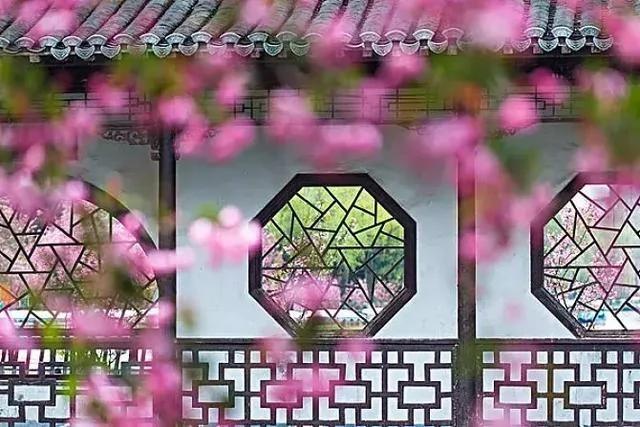 中國的漏窗 古典意境中藏著美人 詩和浪漫